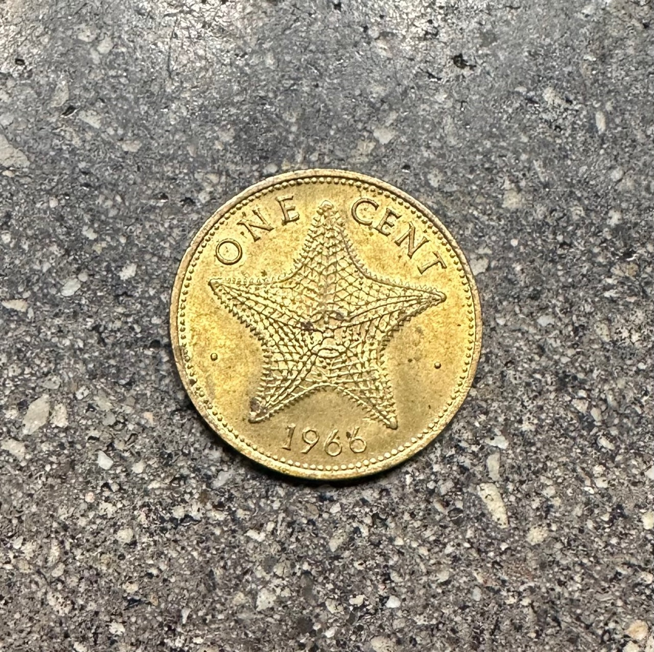 Bahamas Starfish back of coin on a concrete background. - Mountainstruck Coin Jewelry