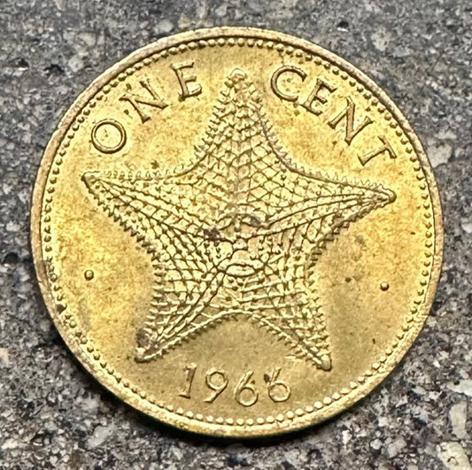 Bahamas Starfish back of coin on a concrete background. - Mountainstruck Coin Jewelry
