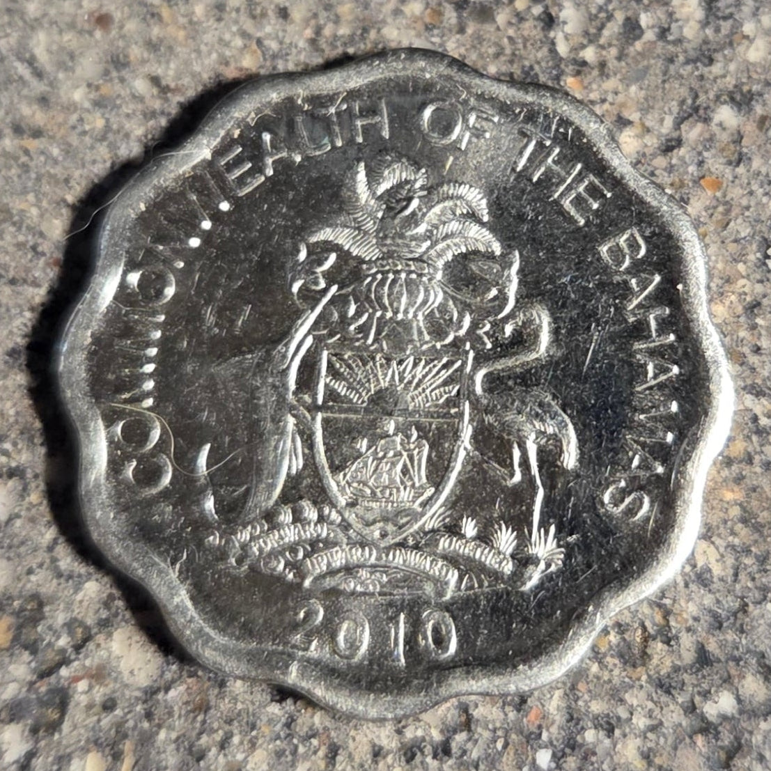 Bahamas 10 Cents Fish coin back on a concrete background. - Mountainstruck Coin Jewelry