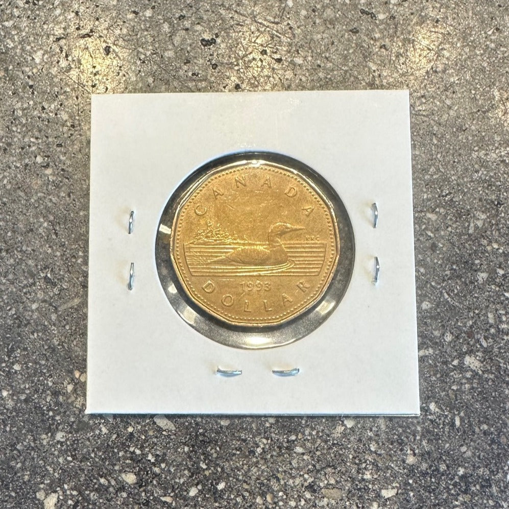 Canadian Loonie 1 Dollar coin back in a white cardboard and plastic sleeve. - Mountainstruck Coin Jewelry