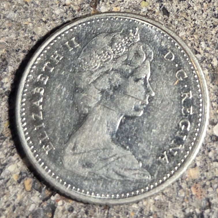 Canadian Nickel Beaver Coin front on a concrete background. - Mountainstruck Coin Jewelry