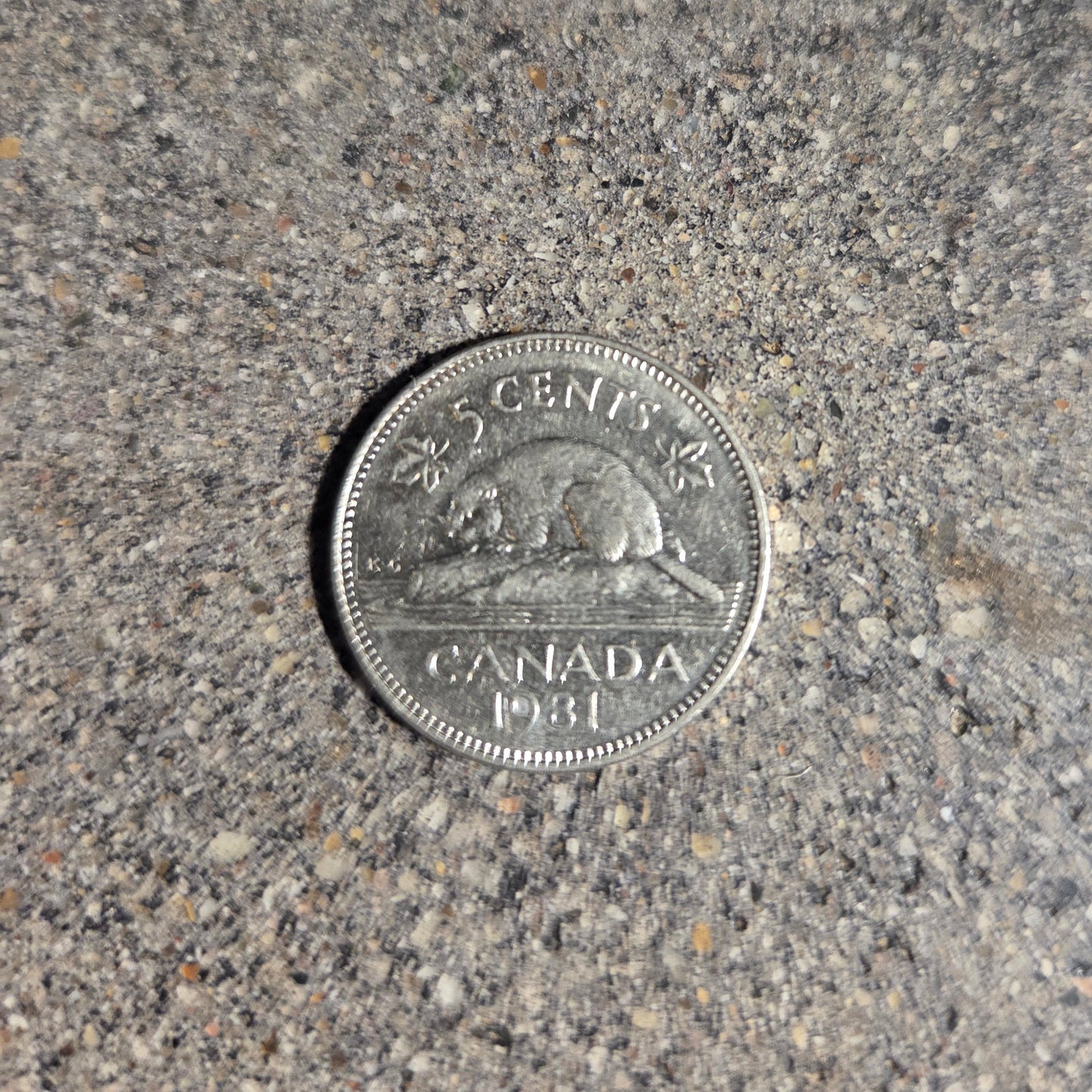 Canadian Nickel Beaver Coin back on a concrete background. - Mountainstruck Coin Jewelry