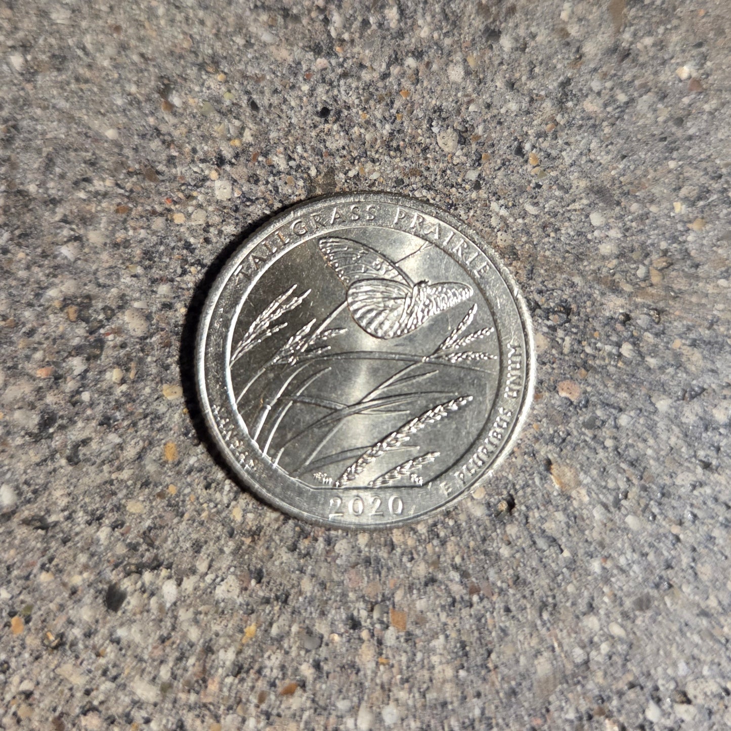 U.S. Butterfly Tallgrass Prairie Quarter Coin back on a concrete background - Mountainstruck Coin Jewelry
