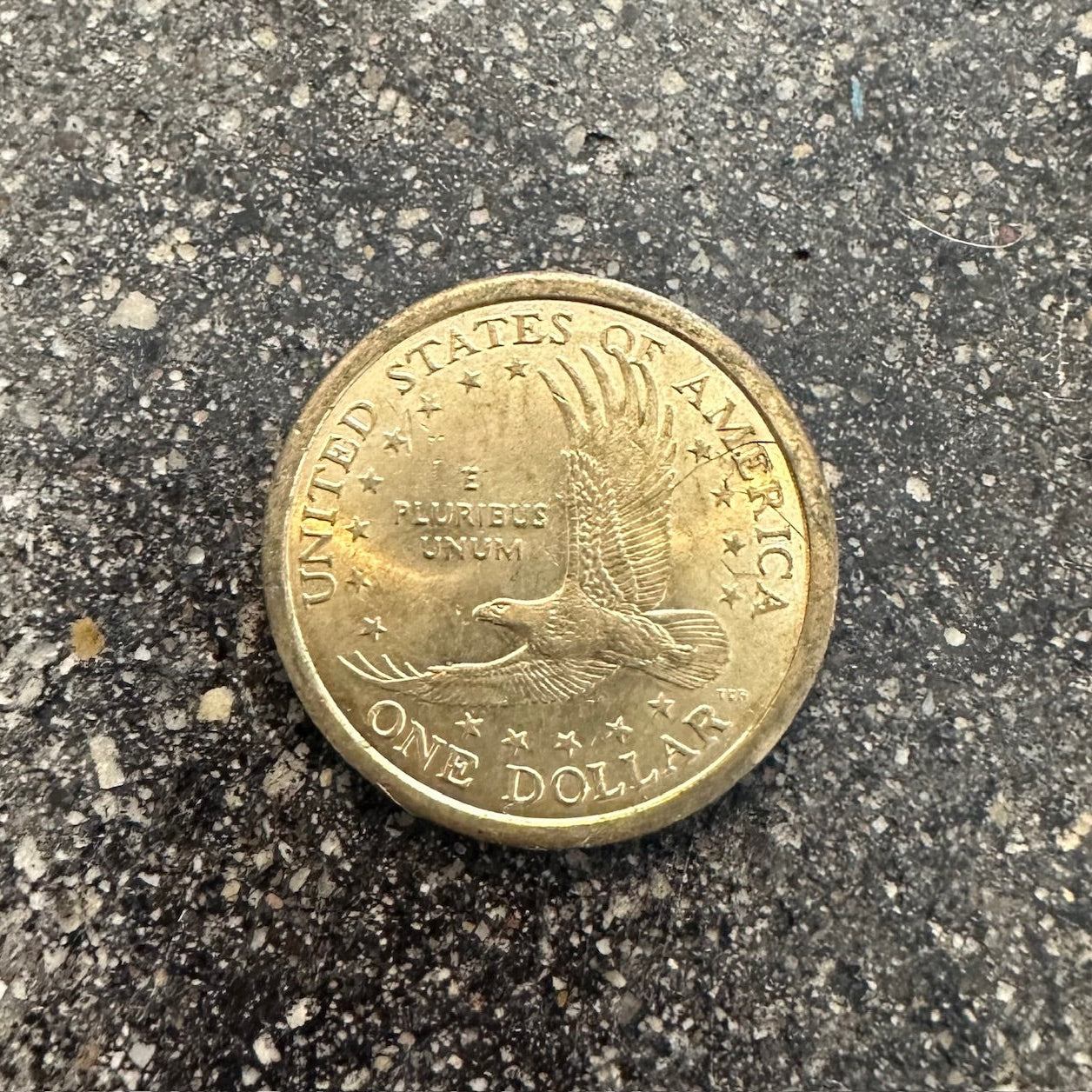 Flying Eagle Sacagawea One Dollar Coin back - Mountainstruck Coin Jewelry