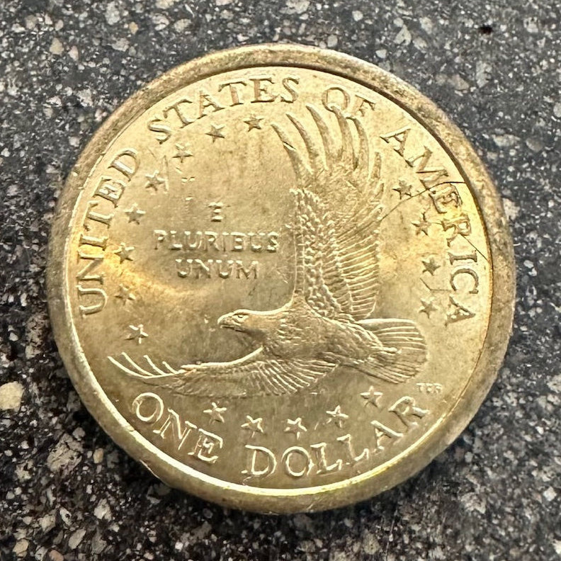Flying Eagle Sacagawea One Dollar Coin back - Mountainstruck Coin Jewelry