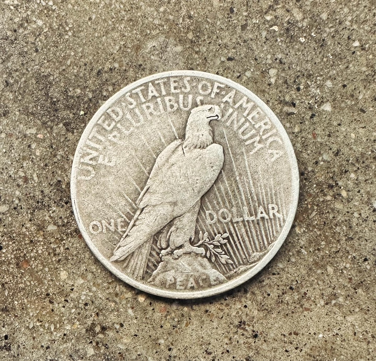 U.S. Peace Dollar Silver Coin back on a concrete background. - Mountainstruck Coin Jewelry