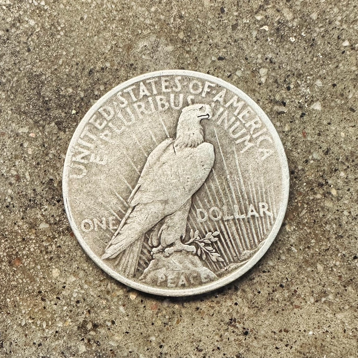 U.S. Peace Dollar Silver Coin back on a concrete background. - Mountainstruck Coin Jewelry