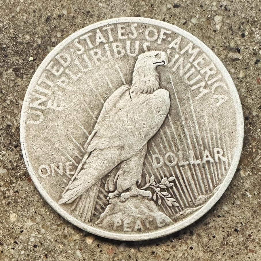 U.S. Peace Dollar Silver Coin back on a concrete background. - Mountainstruck Coin Jewelry
