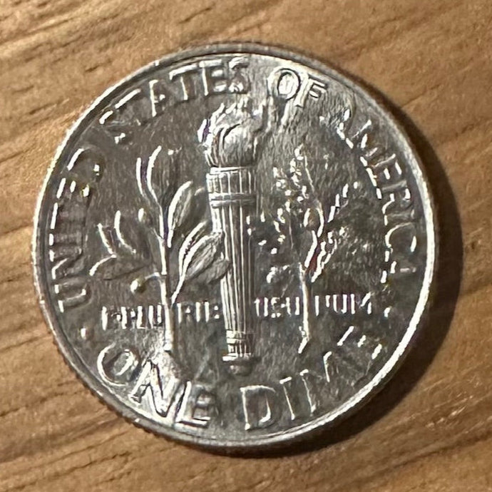U.S. Dime Coin back on a wood background. - Mountainstruck Coin Jewelry