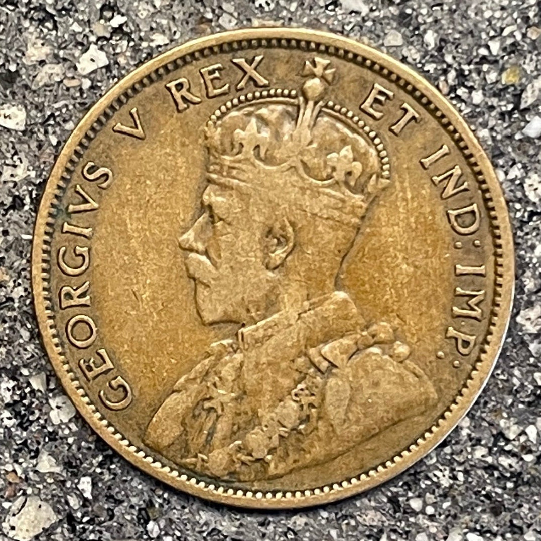 Canada Large Cent Leaf coin (front) on a concrete background. - Mountainstruck Coin Jewelry