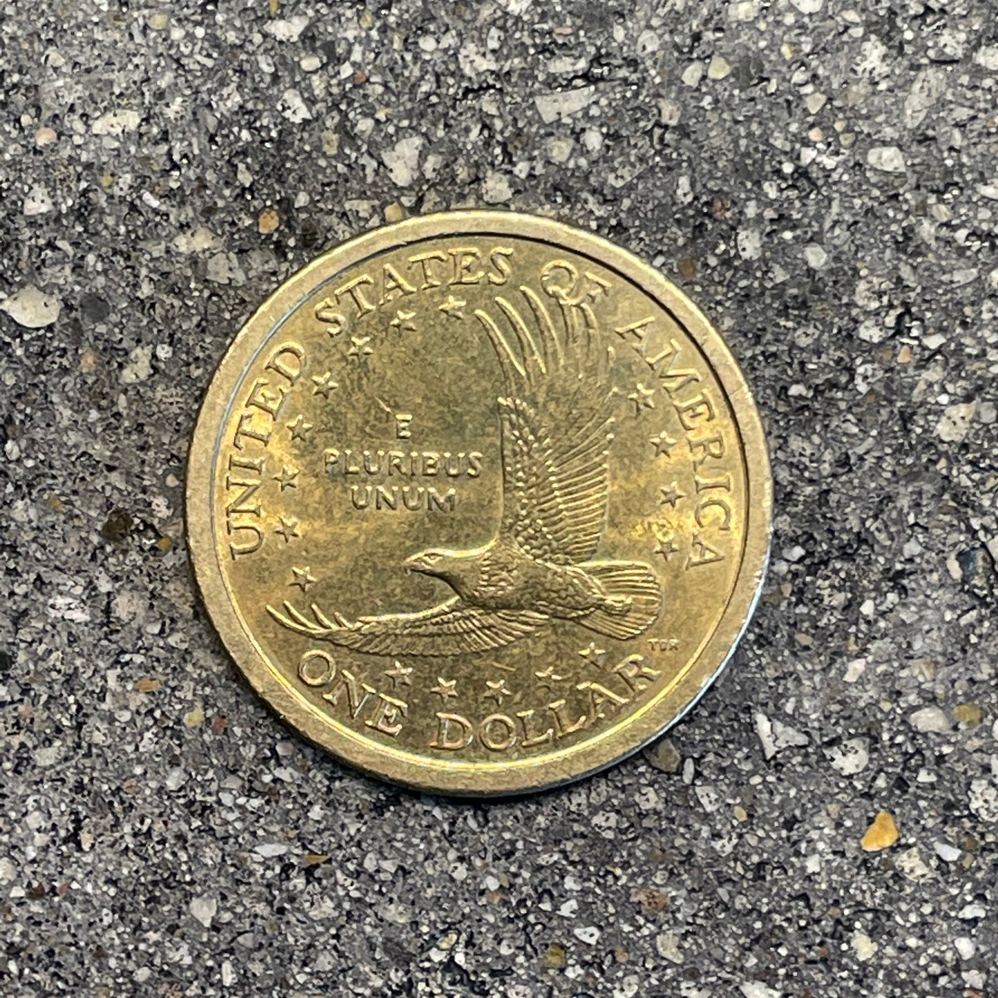 Sacagawea Dollar Coin back on a concrete background. - Mountainstruck Coin Jewelry