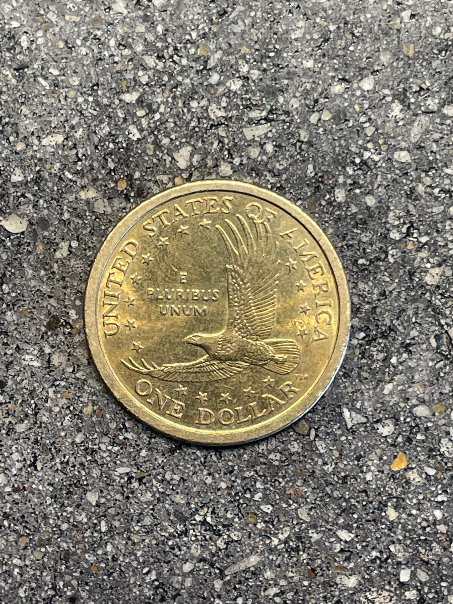 Sacagawea Dollar Coin back on a concrete background.