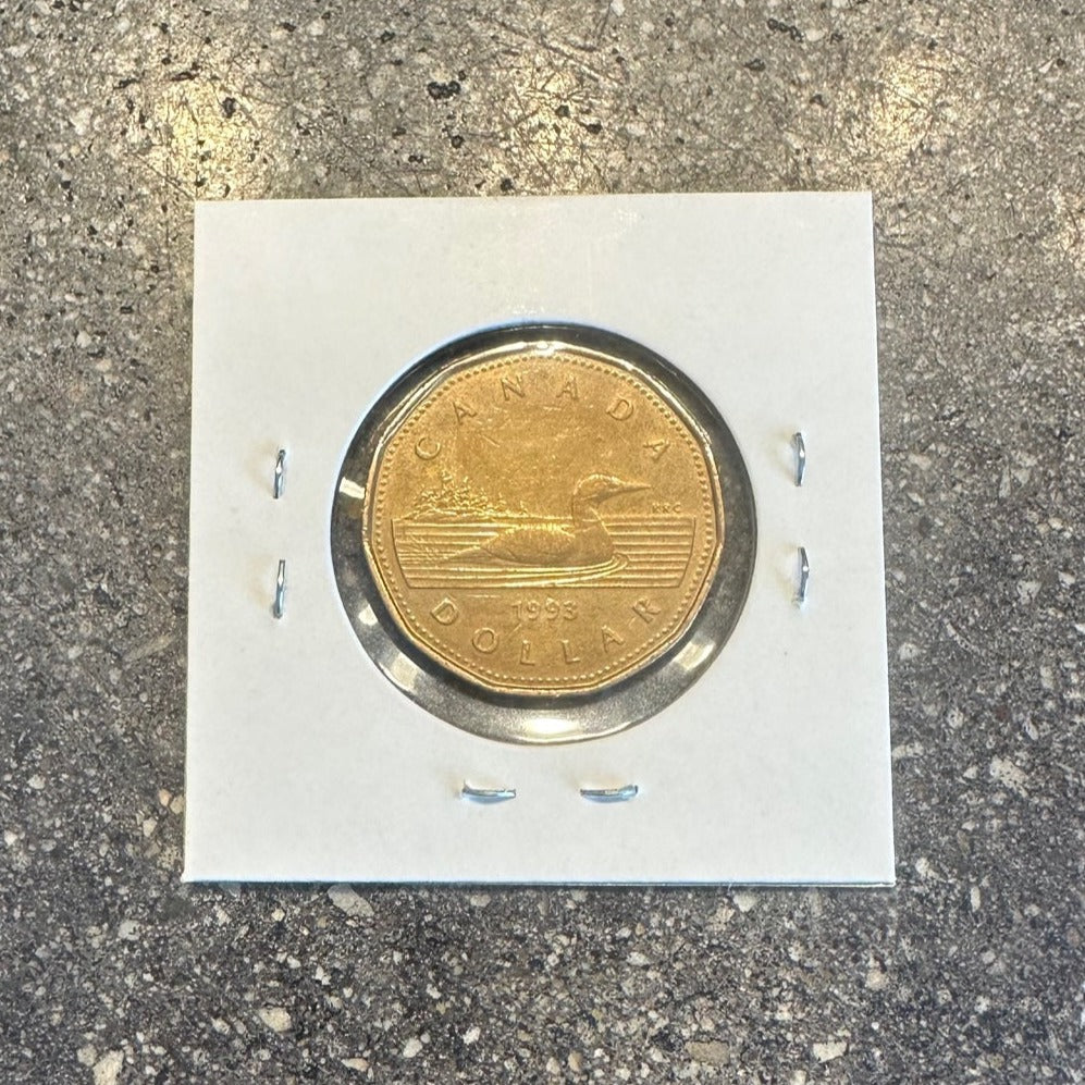 Canadian Loonie 1 Dollar Cut Pendant