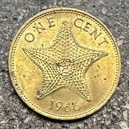 Bahamas Starfish back of coin on a concrete background. - Mountainstruck Coin Jewelry