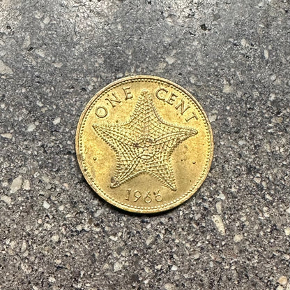 Bahamas 1 Cent Starfish coin back on a concrete background. - Mountainstruck Coin Jewelry