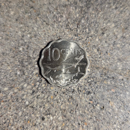 Bahamas 10 Cents Fish coin back on a concrete background. - Mountainstruck Coin Jewelry