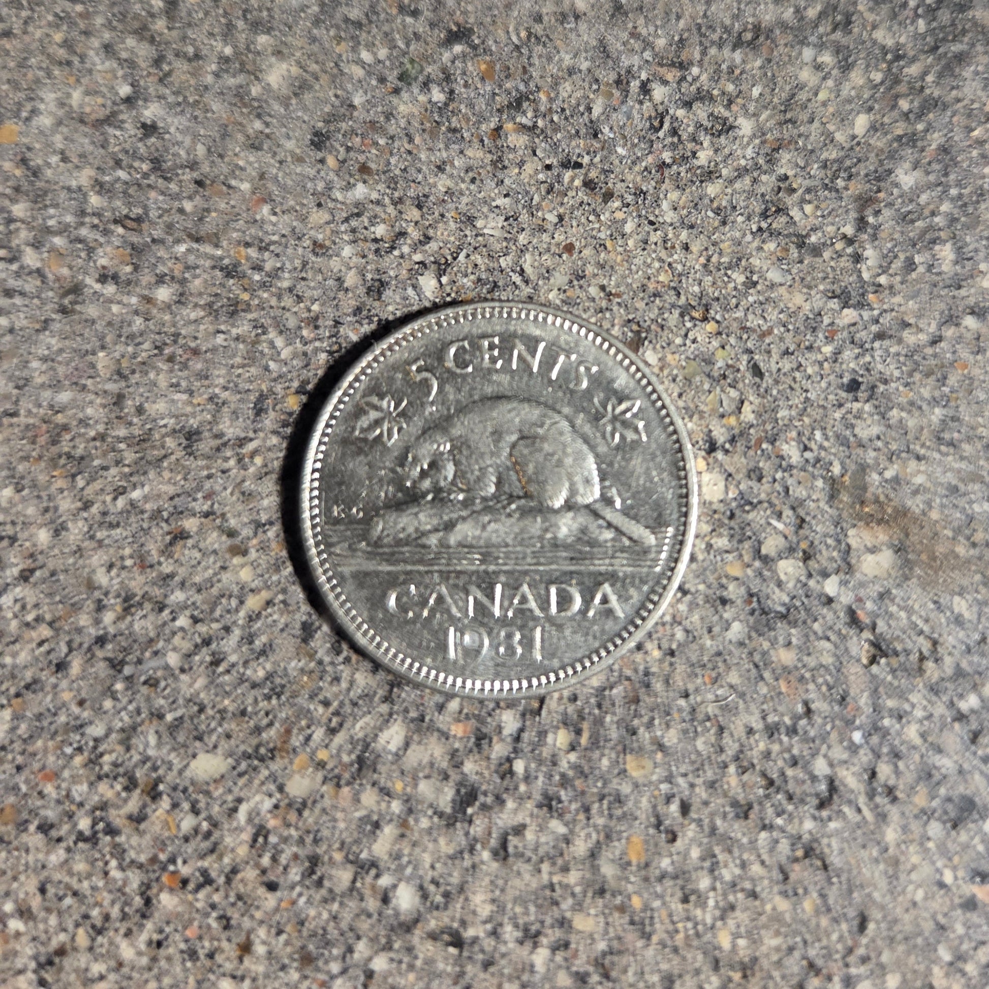 Canadian Nickel Beaver Coin back on a concrete background. - Mountainstruck Coin Jewelry