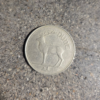 Ireland Red Deer Coin back on a concrete background. - Mountainstruck Coin Jewelry