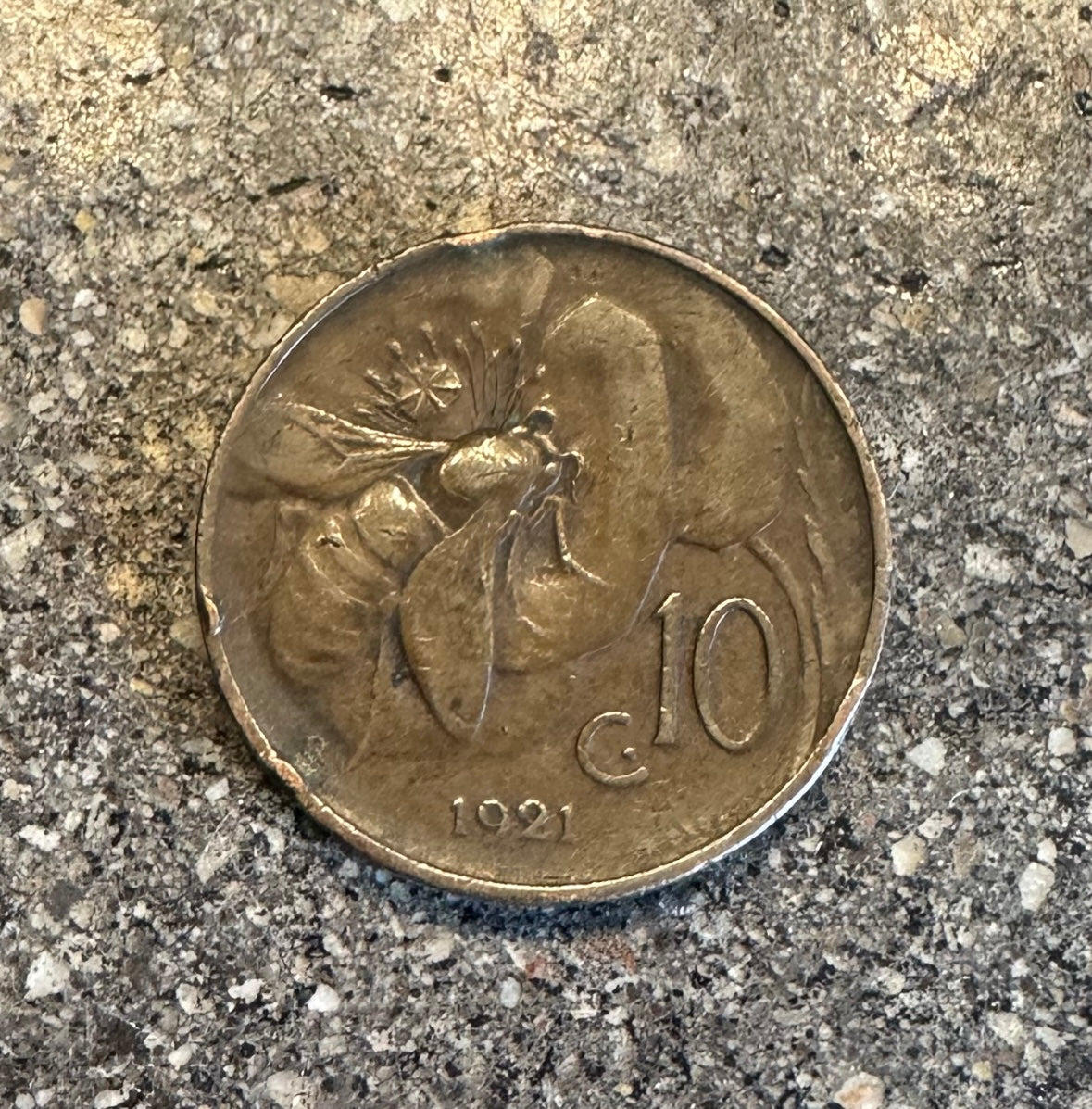 Honeybee Italy 10 Centesimi back of coin on a concrete background. - Mountainstruck Coin Jewelry