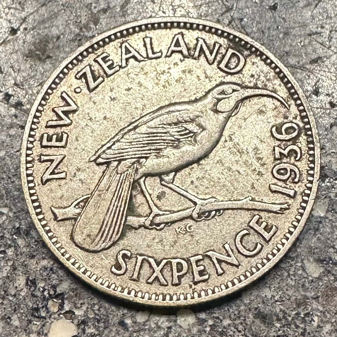 New Zealand Huia Bird 6 Pence Silver Coin on a dark concrete background. - Mountainstruck Coin Jewelry