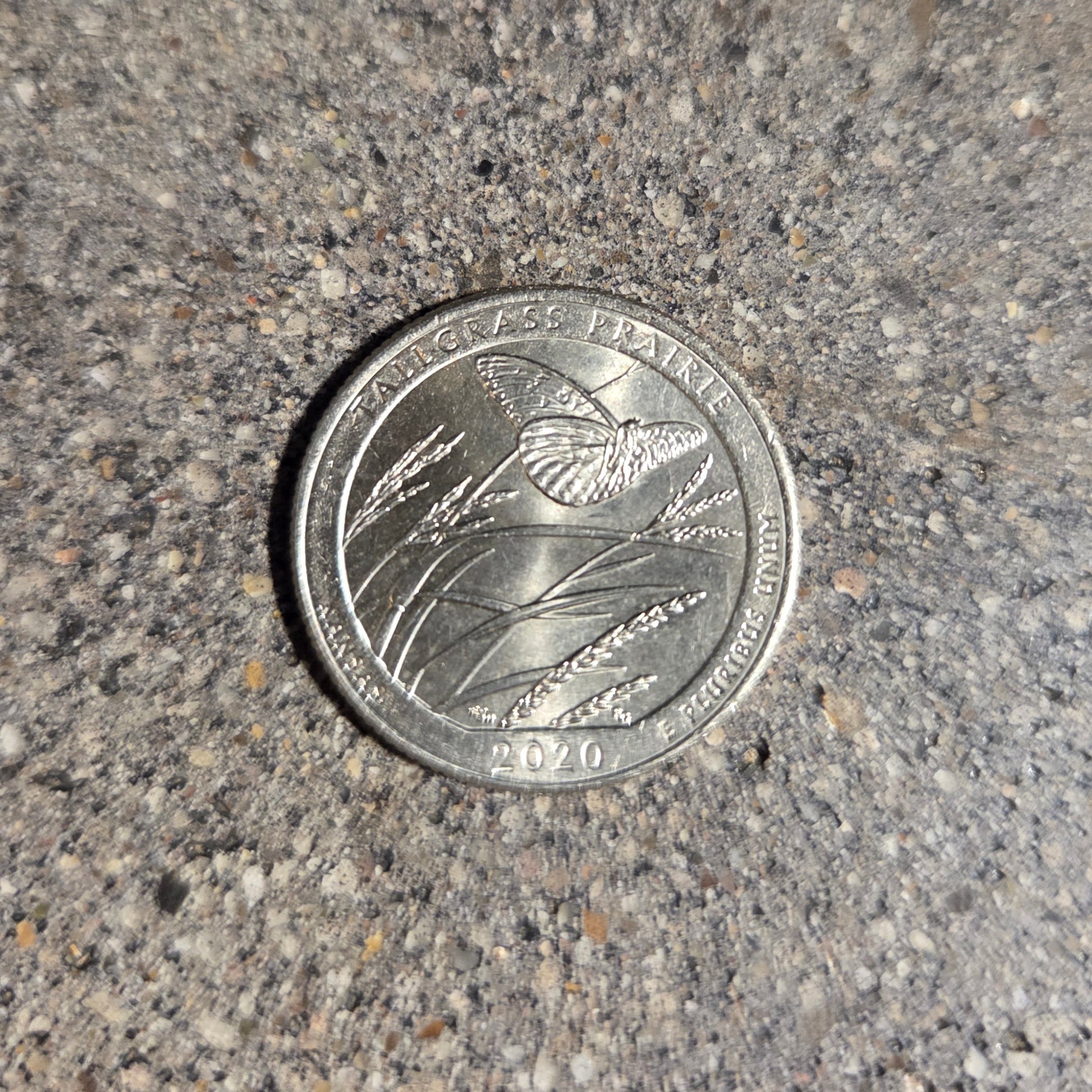 U.S. Butterfly Tallgrass Prairie Quarter Coin back on a concrete background - Mountainstruck Coin Jewelry