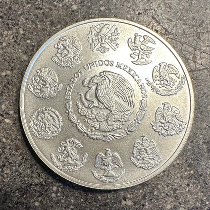 Mexico 1oz Libertad .999 Silver Coin back on a concrete surface. - Mountainstruck Coin Jewelry