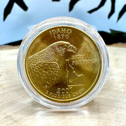 U.S. Idaho State Quarter 24k Gold Plated Coin plated with Idaho Gold in a plastic case on a light wood round with a metal mountain background.
- Mountainstruck Coin Jewelry