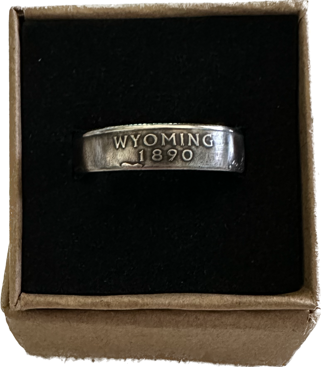 U.S. State Quarter Coin Ring